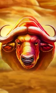 Buffalo Hold and Win Extreme
